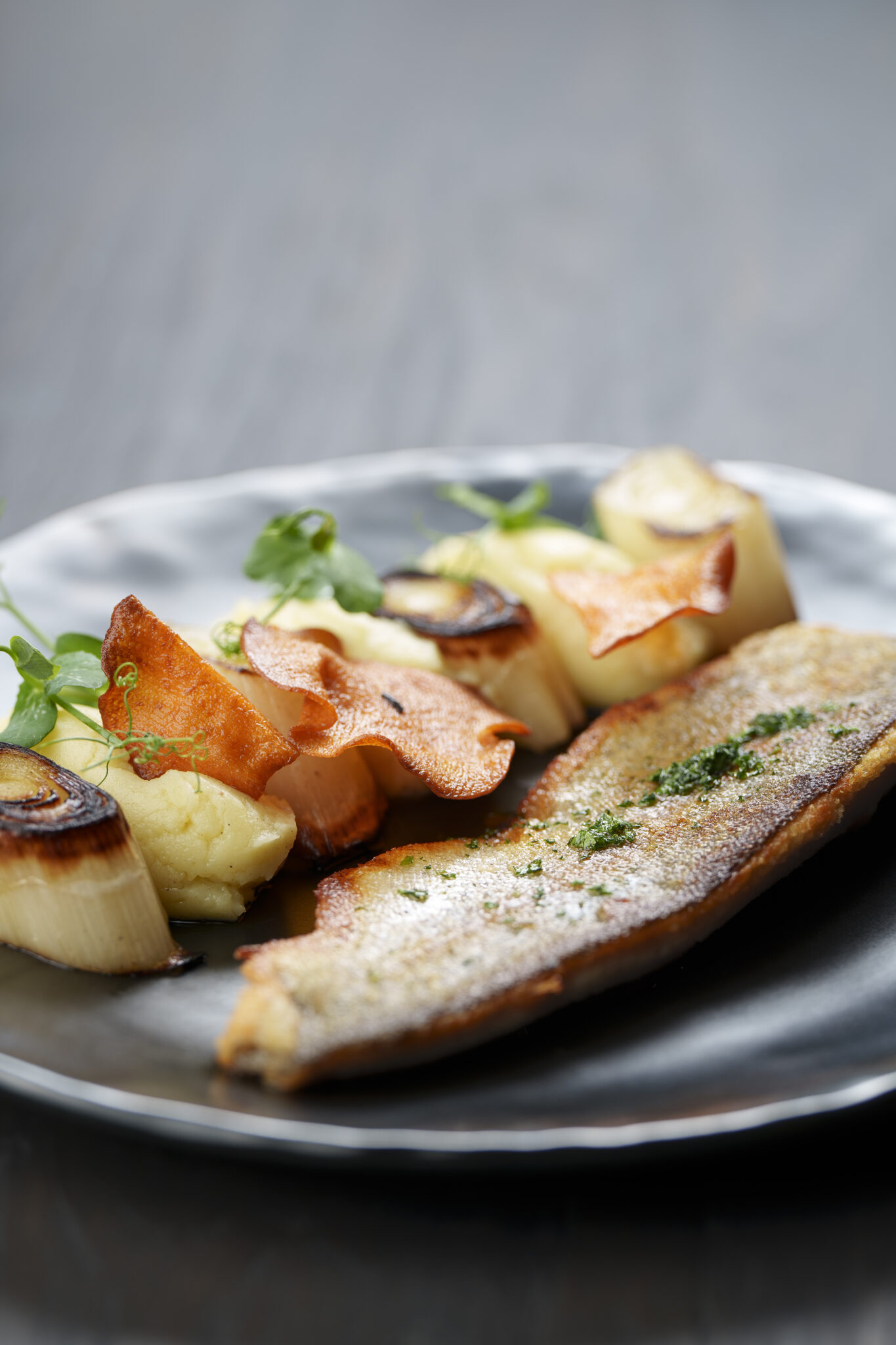 Bois des bois plats 05 04 24-11